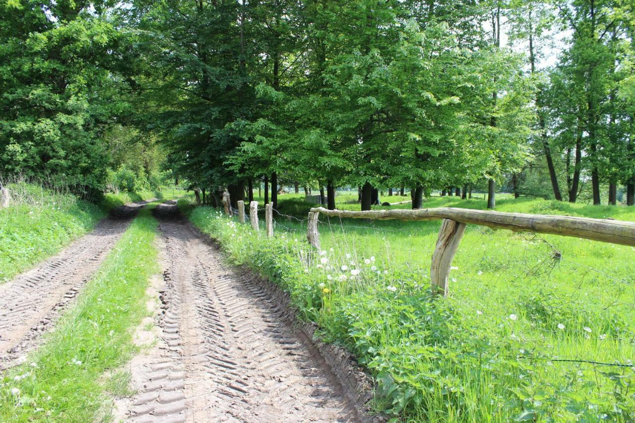 הוילה Oberlangen Haus Kornblume מראה חיצוני תמונה